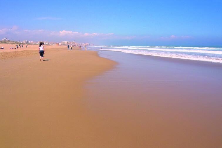 Apartment In La Mata Eneas 6 ตอร์เรเวียคา ภายนอก รูปภาพ